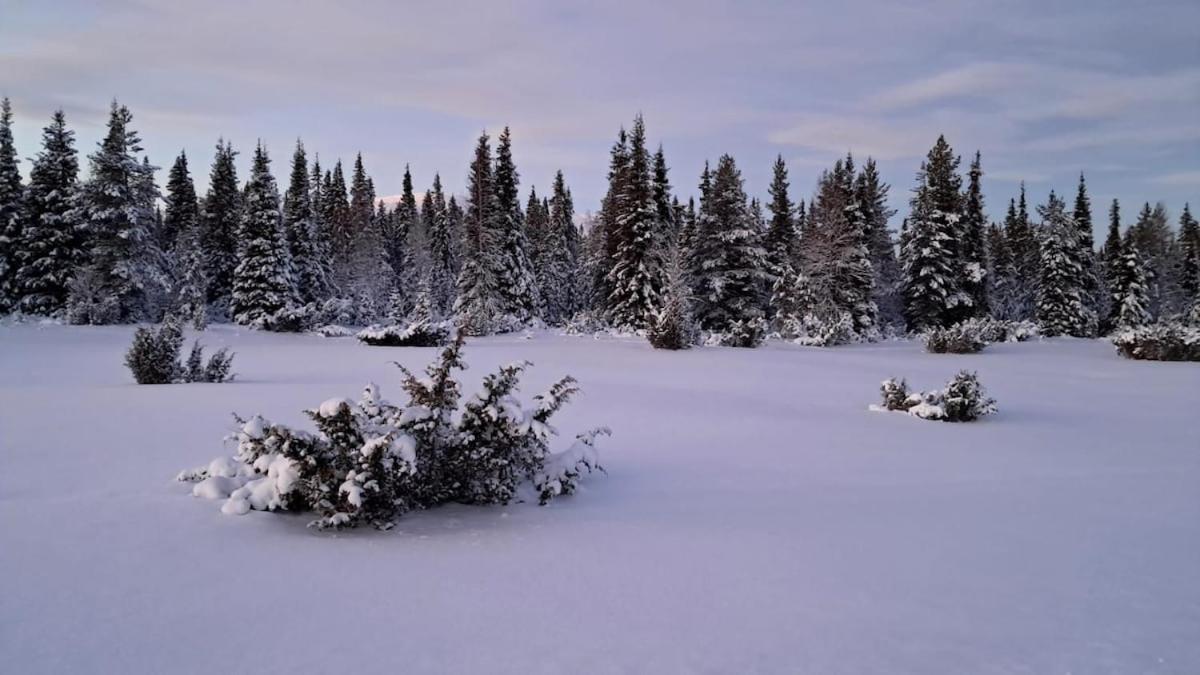 Viihtyisae Moekki Riekkojen Mailla Hetassa Villa Enontekio Bagian luar foto