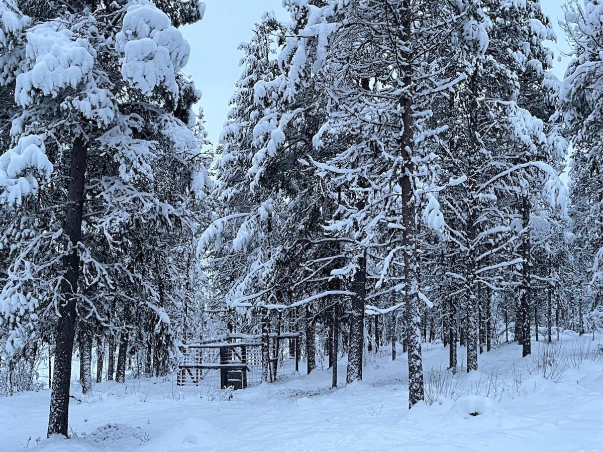 Viihtyisae Moekki Riekkojen Mailla Hetassa Villa Enontekio Bagian luar foto